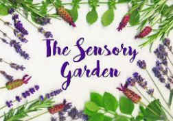 sensory garden